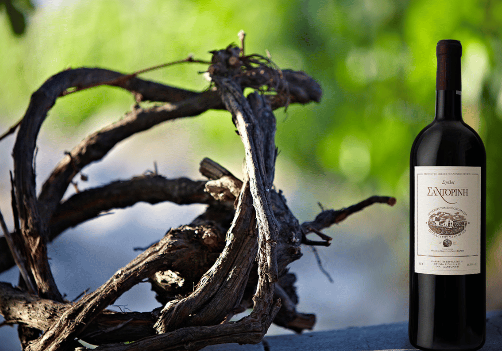 A bottle of wine elegantly placed next to a branch, showcasing Erossea Villa Santorini's private chef services